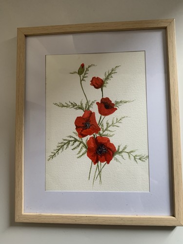 Beautiful original poppy - original, water