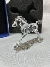 Swarovski SCS Esperanza