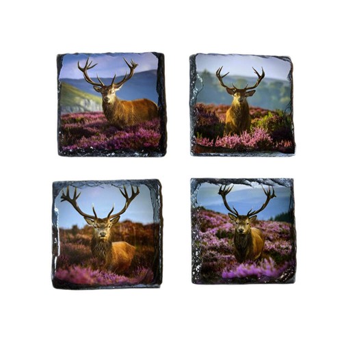 Slate coaster set stags - slate,