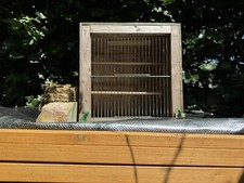 Bespoke Made Wooden Bird Carrier Cockatiels Budgie Transporter
