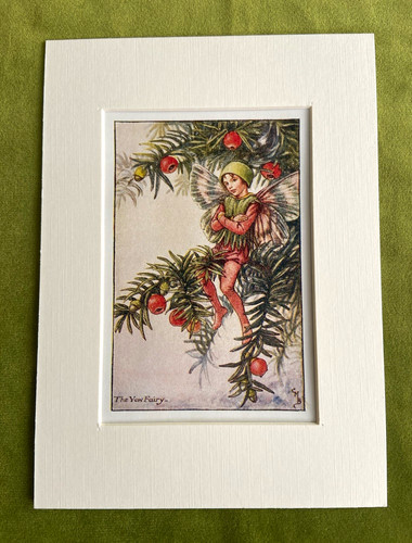 Yew fairy flower - ‘yew,