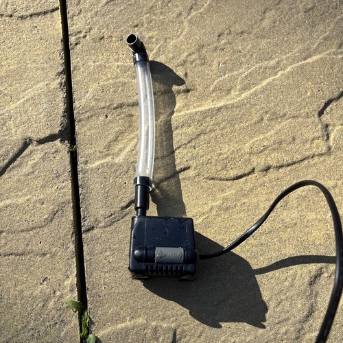 Immersive pump for fish - immersive, tank