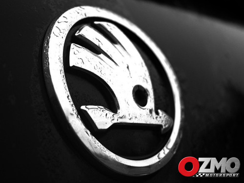 Skoda fabia remapping ecu - skoda,