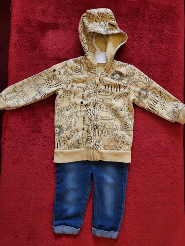 Baby boys animal - themed, hoodie