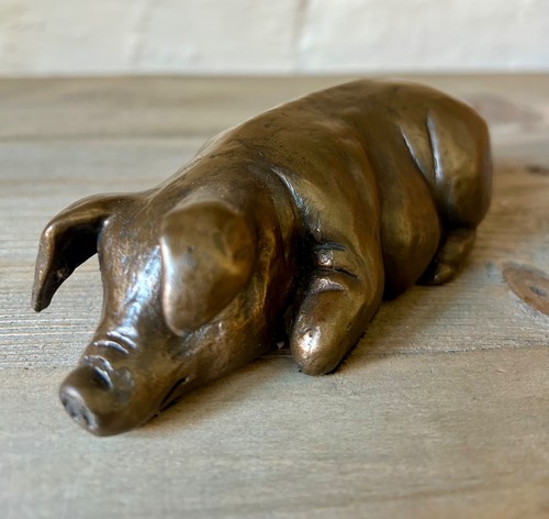 Frith pig laying down - pig,