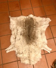 Authentic Reindeer Rug