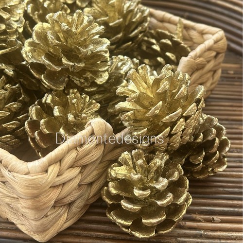 Gold natural pine cones - pine, approx