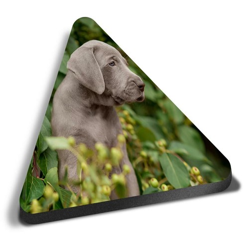 Triangle mdf magnets - mdf,