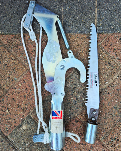 Tree pruning saw amd - , lopper