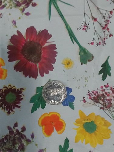 Isle man 10p coin - 10p, manx