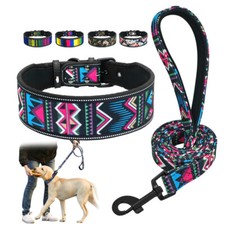 Wide Dog Collar and Nylon Lead