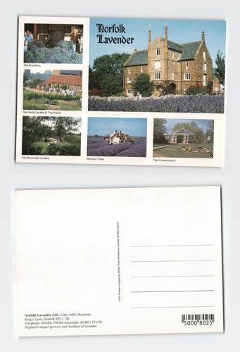 Vintage postcard norfolk - vintage,