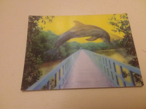 Lenticular postcard - lenticular,