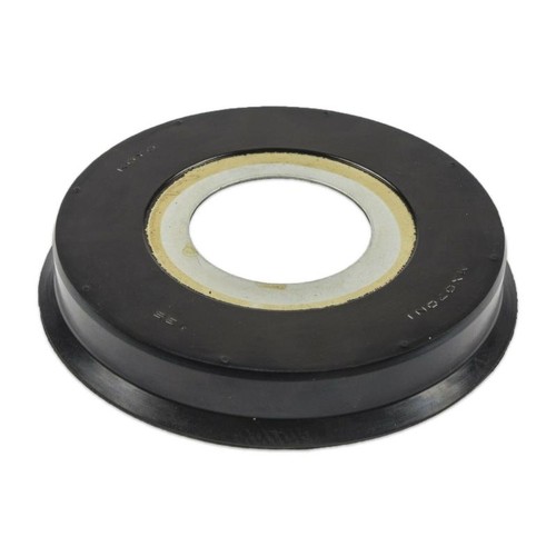 Seal dust fork steerinf stem