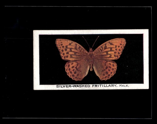 1927 godfrey phillips - godfrey,