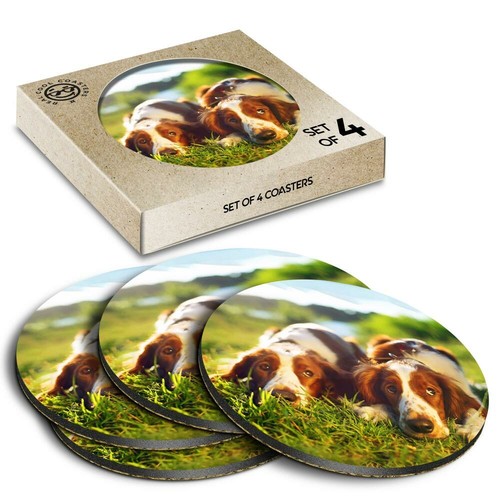 Boxed round coasters - boxed,