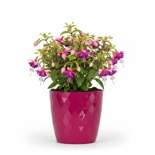 Plant Pots 12cm–30cm - Durable Indoor/Outdoor Elegant Glossy Plastic Planters