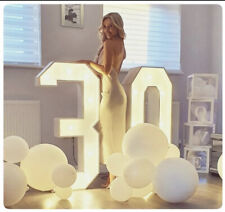 Large LED Light Up Letters And Numbers (4ft) FOR HIRE Only