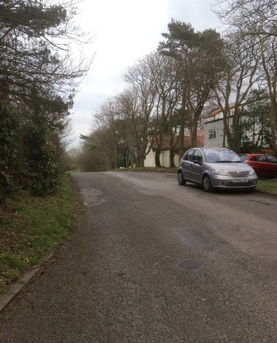 Photo 6x4 primrose valley - 6x4,