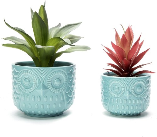 Owl succulent planter - owl,