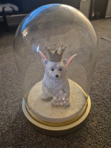 Large bell jar - -, bear