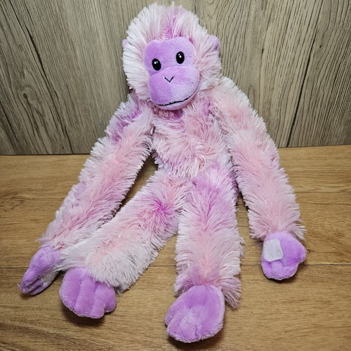 Ravensden monkey chimp ape - monkey,
