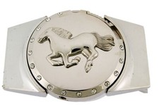 Removable Lighter & Belt