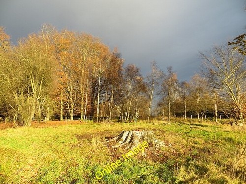 Photo 6x4 building plot - 6x4,