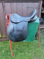 Arabian GP 16"
