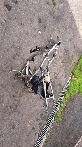 Kawasaki main frame 2011 - main,