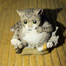 Comic Curious Cats By Linda