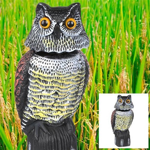 Realistic owl decoy - realistic, protection