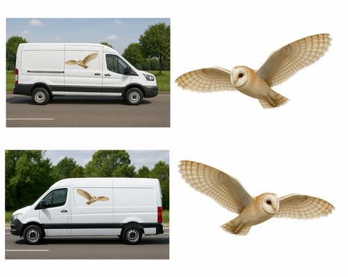 Barn owl van side decals - barn,