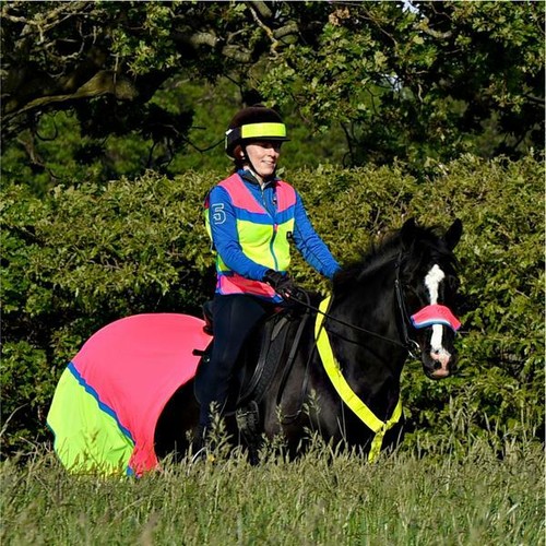 Equisafety multi colour vis - multi,