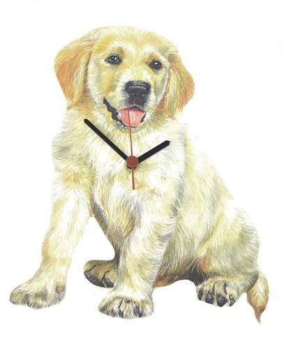 Golden retriever puppy - golden,