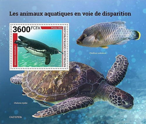 Endangered sea animals - endangered,