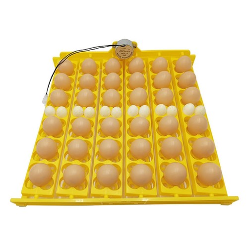 156 eggs incubator turner - eggs,