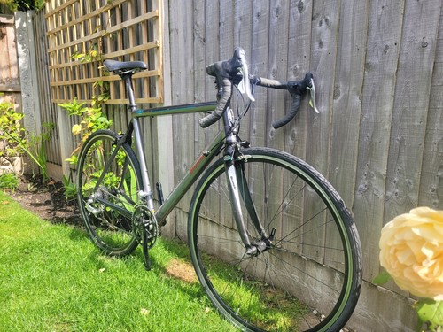 Bianchi nirone - bianchi,