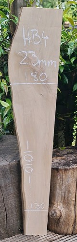 Hornbeam live edge slab - hornbeam,