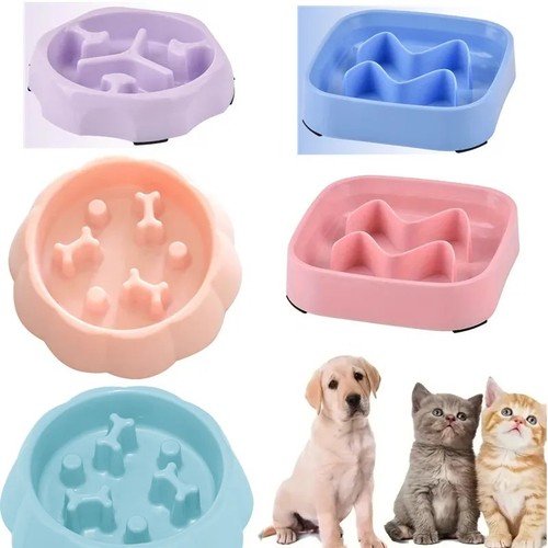 Pet supplies color slow - color, feeder