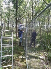 Pheasant Release Pen/ Poultry or Animal Pen
