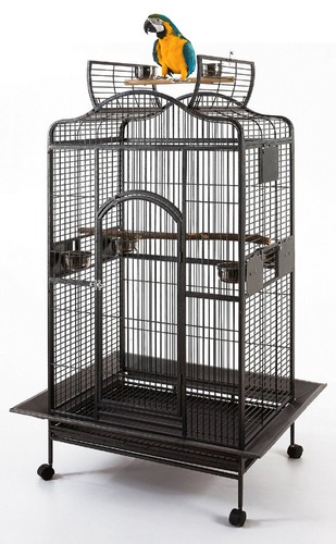 Large bird parrot - x-large, 63"