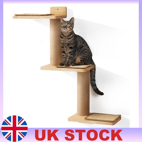 Cat climbing shelf wooden wall - cat,