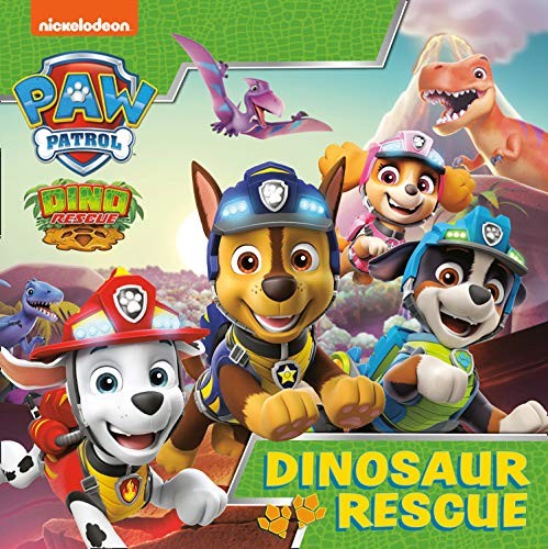 Paw patrol picture - picture, book