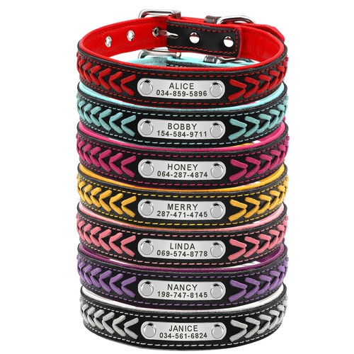 Personalised dog collar - dog,
