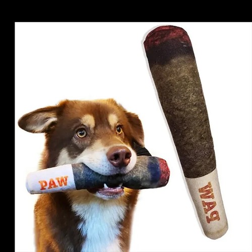 Raw squeaky dog - squeaky, toy