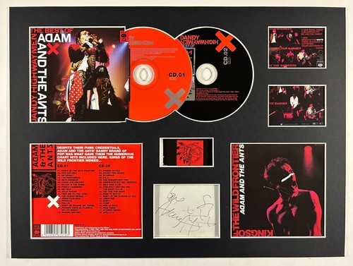 Adam the ants - adam,