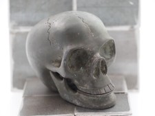 Anatomical Skull - Gothic
