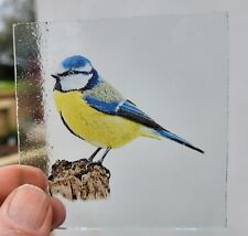 Stained Glass Blue Tit bird birds vintage Kiln fired 8 CM X 8 CM approx