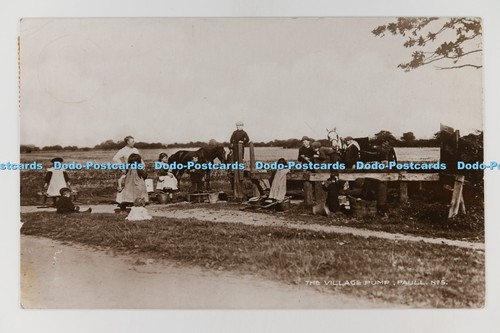 C032525 paull the - c032525,